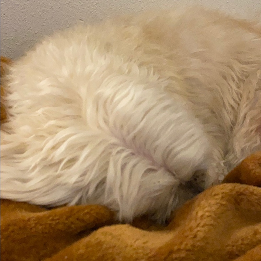 Meet your Posher, Matthew